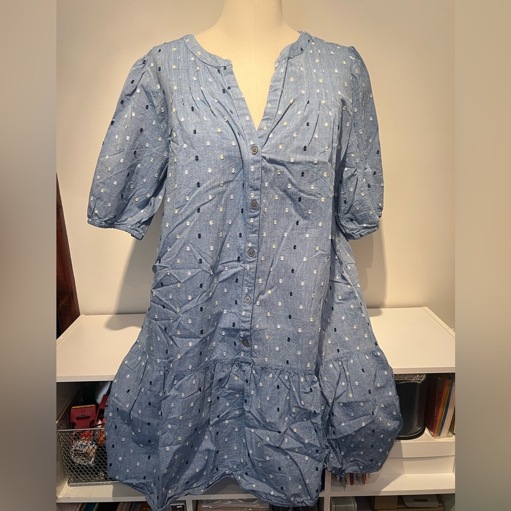 Loft Blue embroidered Polka Dot Button-Down Dress